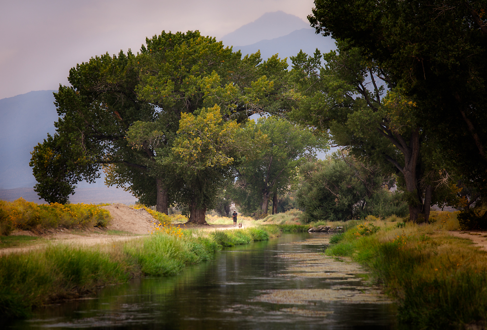 Running by Bishop Canal